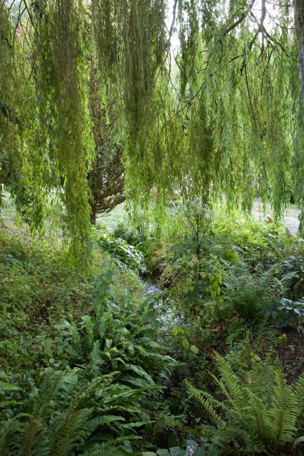 Bagnell Farm Cottage Chiselborough 外观 照片